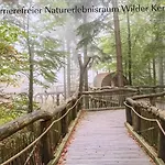 Eifelruhe 3 In - Ideal Fuer Familien Und Paare Mit Hund - Voll Ausgestattete Kueche Und Zwei Schlafzimmer *